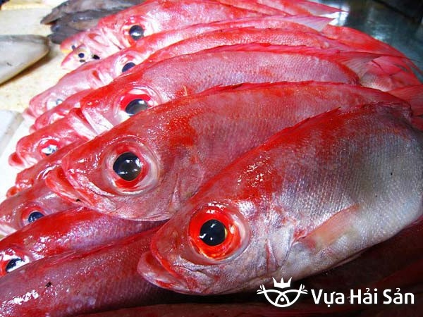 Đặc điểm và giá trị dinh dưỡng của cá bã trầu