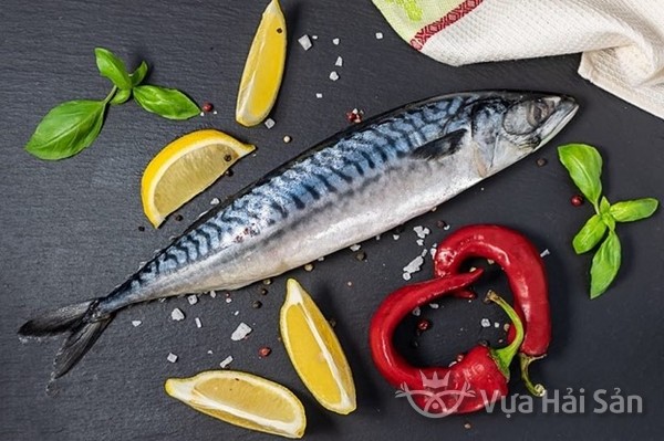 Lợi ích của cá thu ngừ, cá thu nhật, cá thu ảo nói riêng, của cá thu hay loài cá thu nói chung