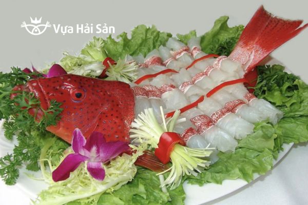 Sashimi cá mú đỏ