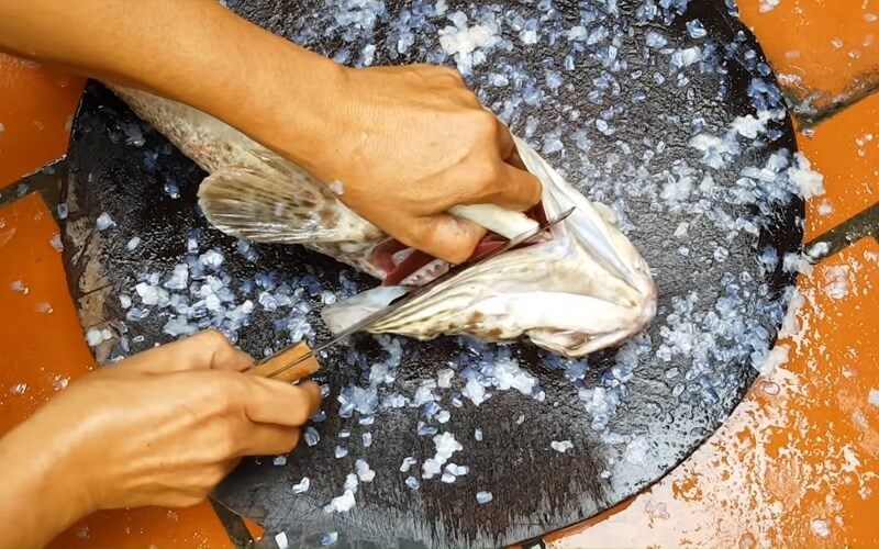 Bí quyết làm cá mú chiên giòn không bắn dầu cực dễ 2 Làm sạch cá và khử mùi tanh